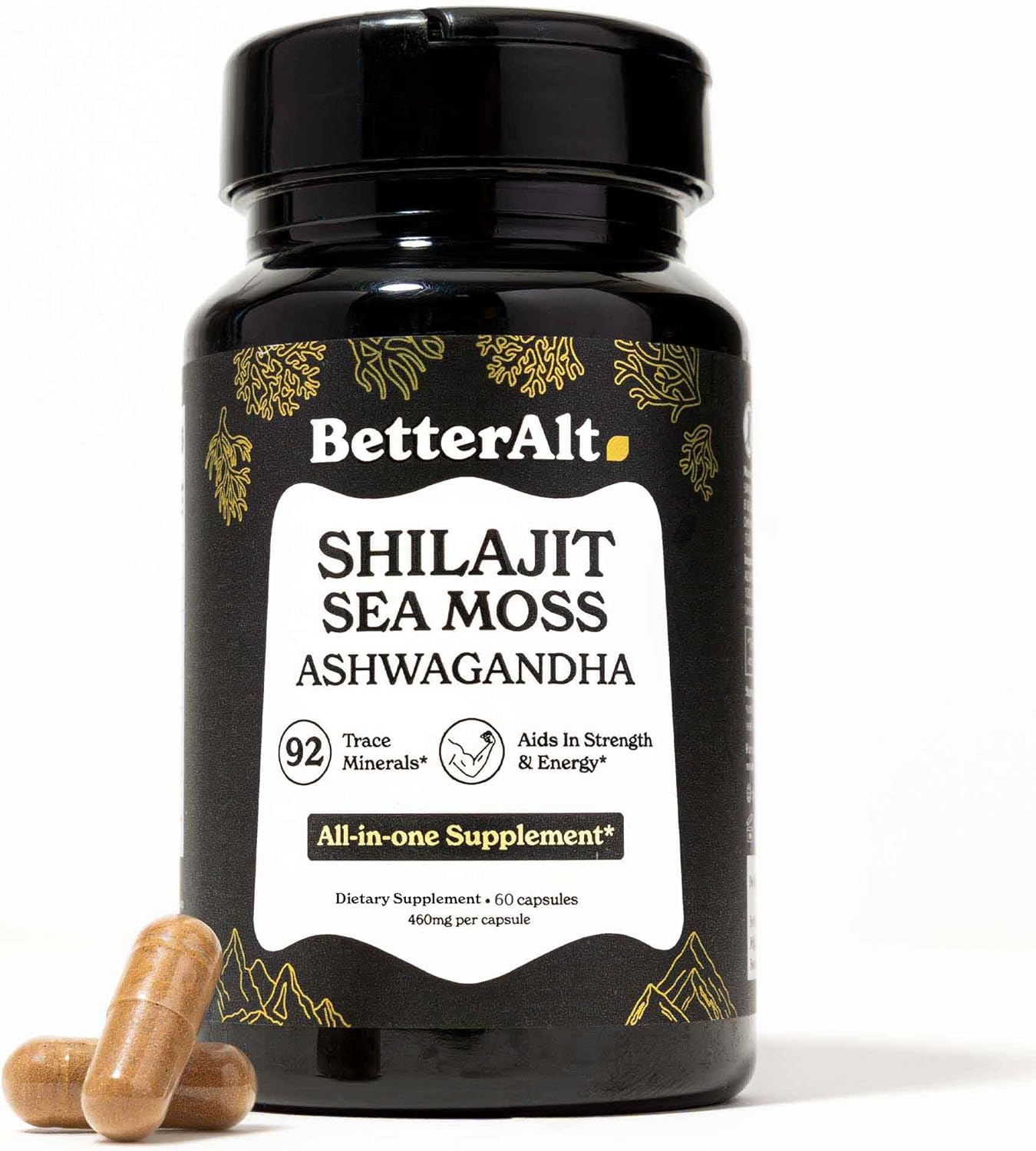 Énergie et Vitalité Naturelles – Shilajit & Sea Moss
